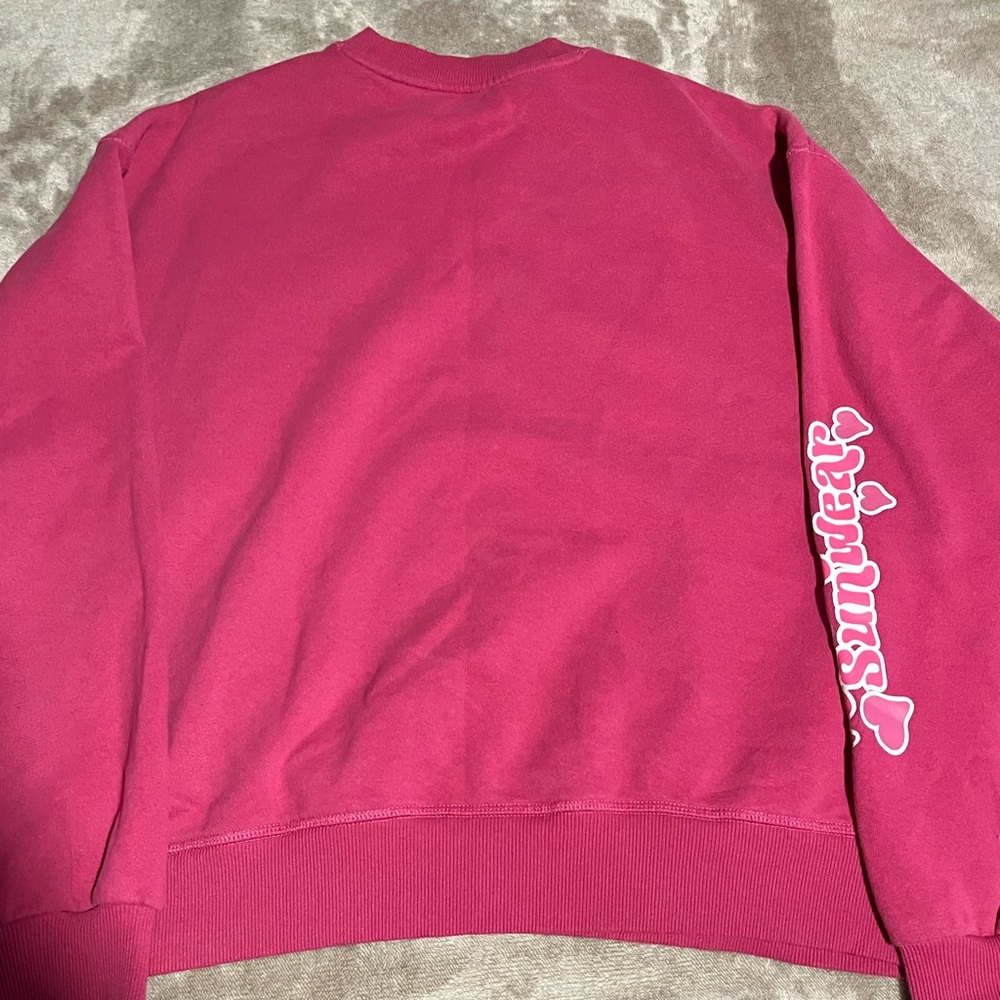 Pink Pacsun Sweatshirt!